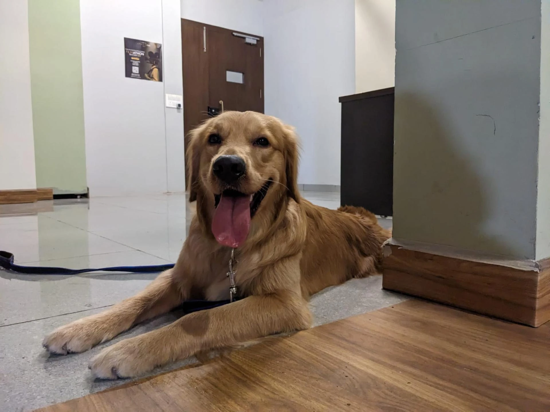 When Rakesh’s Best Friend Needed Help: A Pet Emergency Story