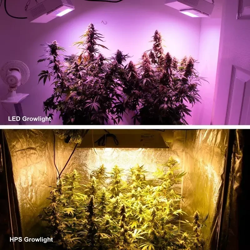 Why Switch from HPS to LED Grow Lights?