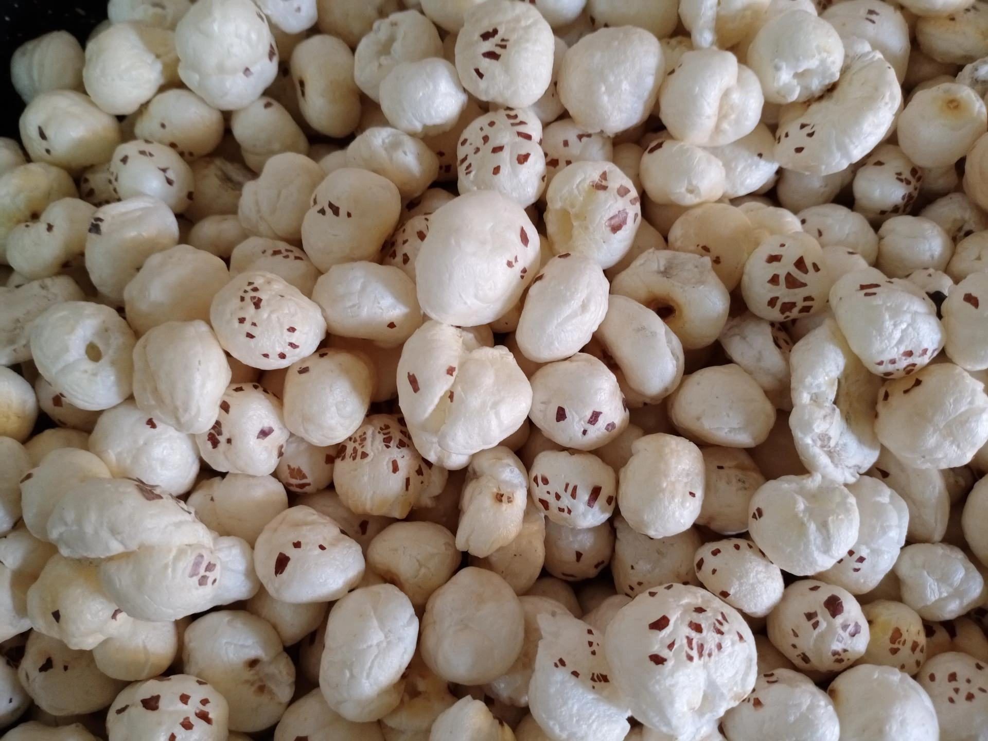 Makhana for Kids: A Nutritious and Tasty Snack Option