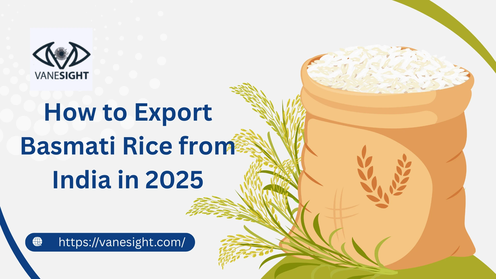 How to Export Basmati Rice from India in 2025 – A Complete Guide
