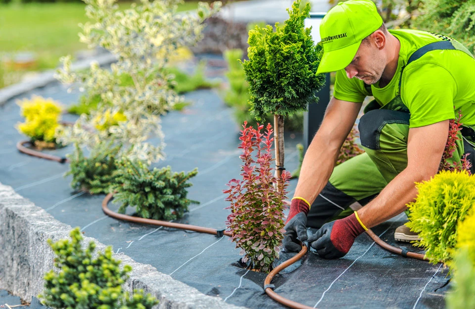 Concrete Pavers in La Mesa, CA