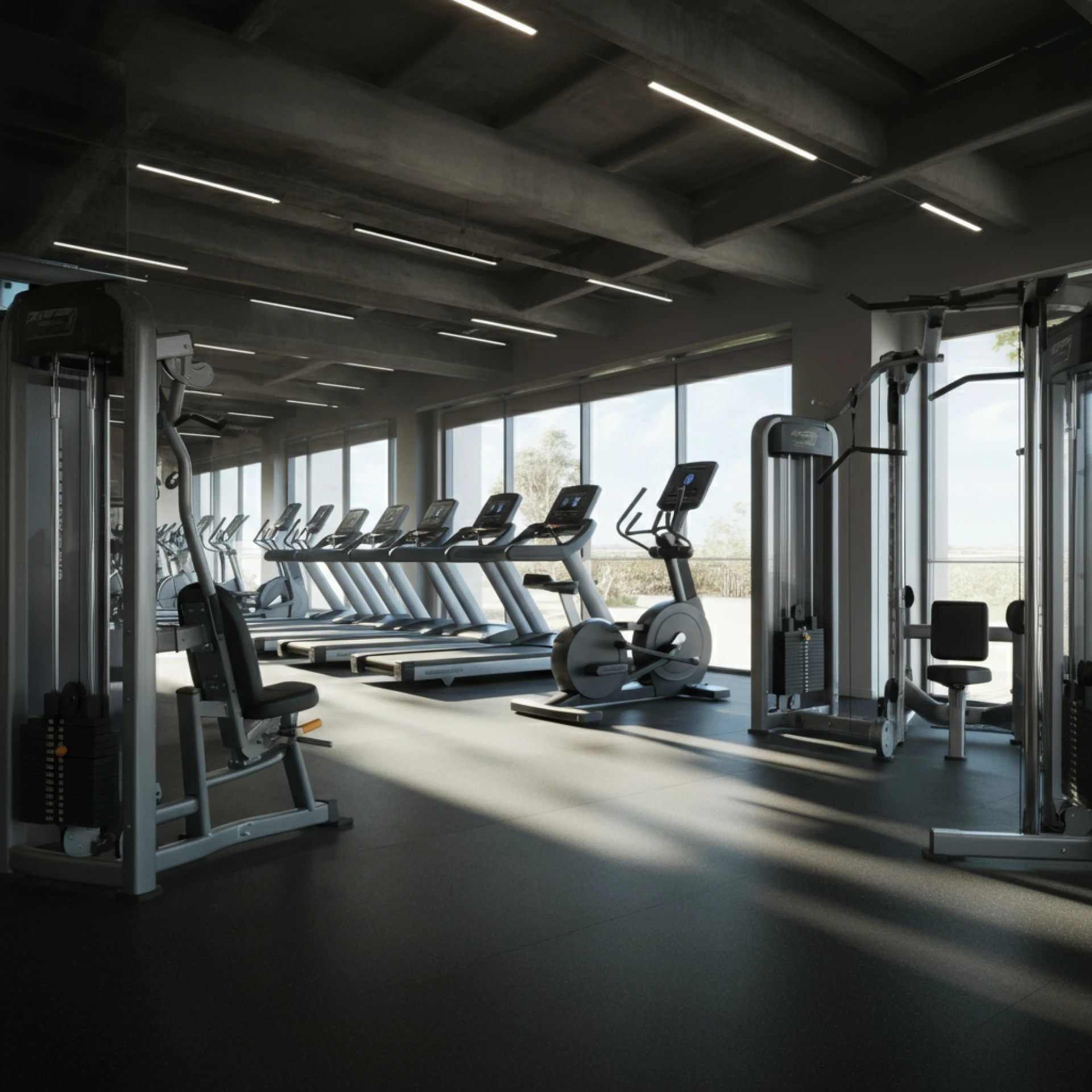 Gym Equipment Suppliers Australia: Expert Tips on Choosing the Right One 