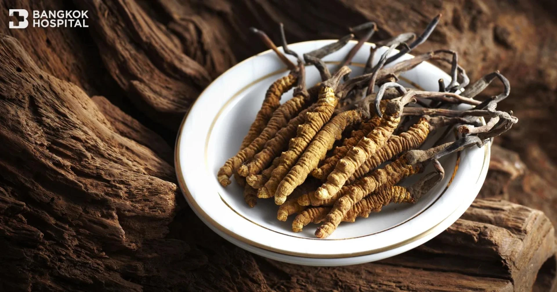 The Himalayan Powerhouse of Natural Energy- Cordyceps Fuel 