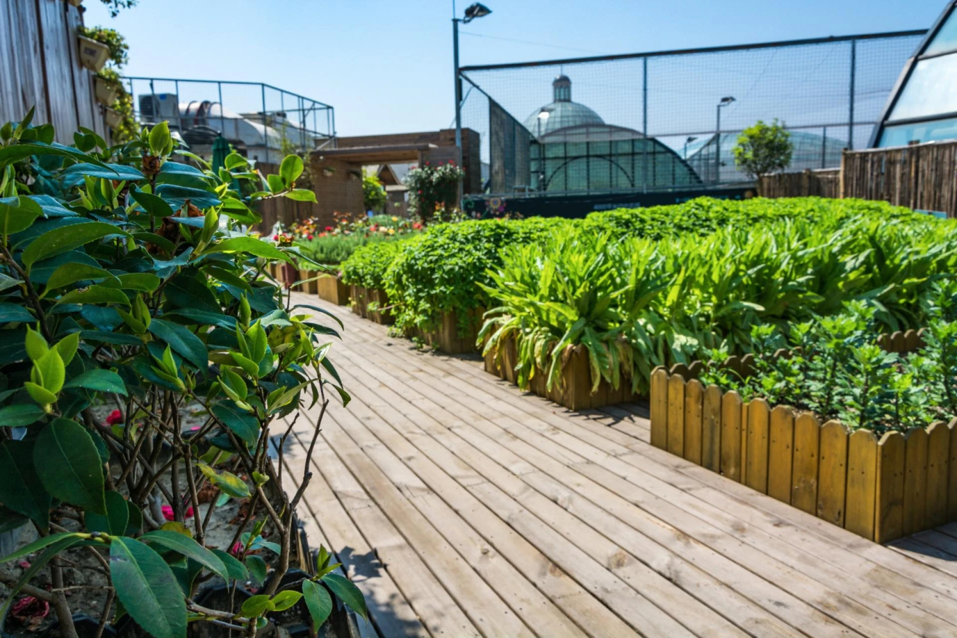 What Makes Commercial Landscaping in Monroe Township, NJ Essential?