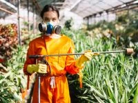 How to Use Potting Soil Mix: A Simple Guide for Beginners