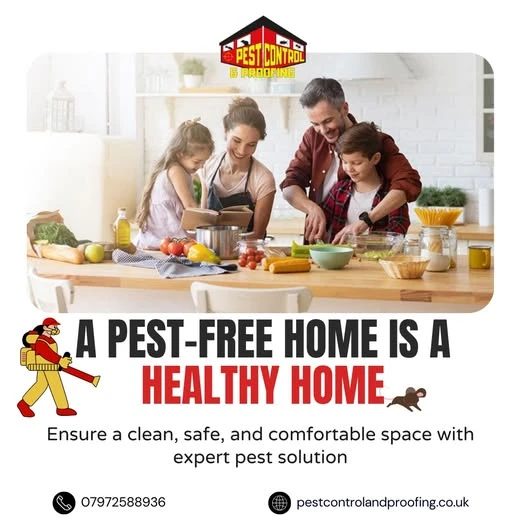 Pest Control Services, Rodent Proofing & Bird Proofing: Keep Your Property Safe and Clean