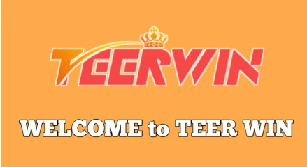Teerwin: Everything You Need to Know