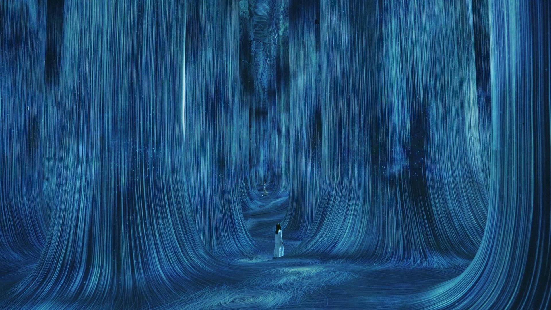 Discovering the Future of Creativity at teamLab Phenomena Abu Dhabi