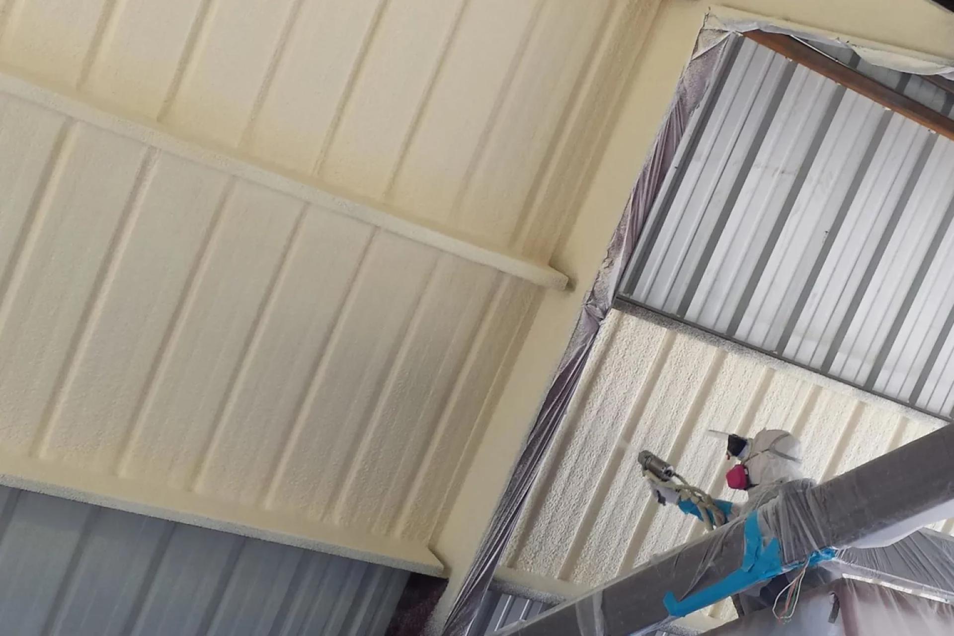How Spray Foam Insulation Protects Orange Beach, AL Homes from Mold