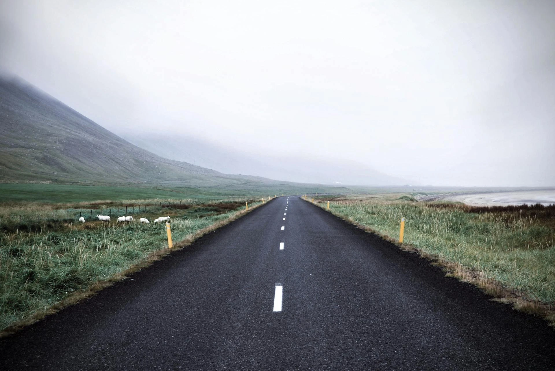 Substance Use Recovery Pathways