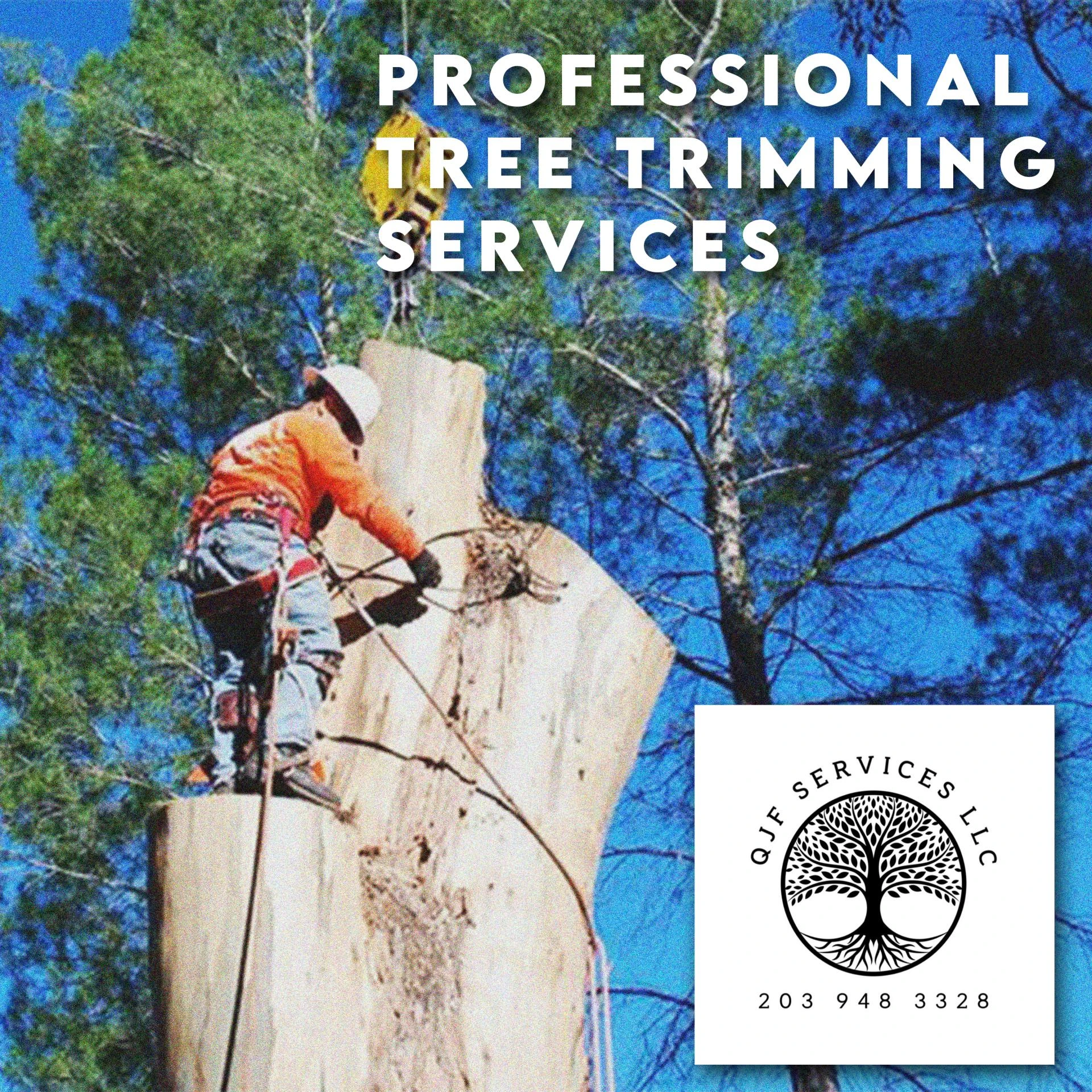 Signs You Need Professional Tree Trimming Services