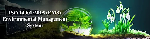 ISO 14001 Certification: A Smart Move for Sustainable Growth