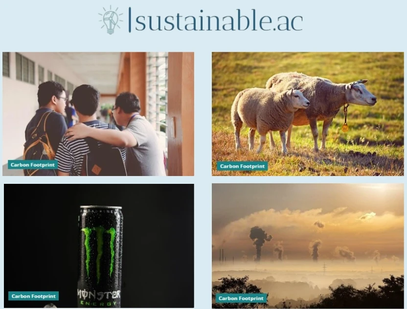 From Theory to Practice: Creating a Carbon Footprint Reduction Plan for a Sustainable Future