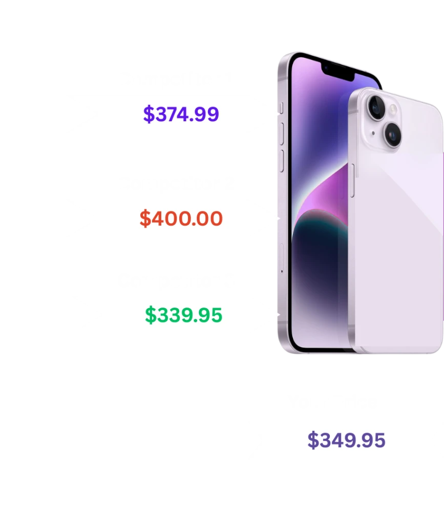 Adapting Pricing Strategy in a Competitive Market