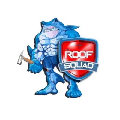 Navigating Roof Replacement with a Trusted Company