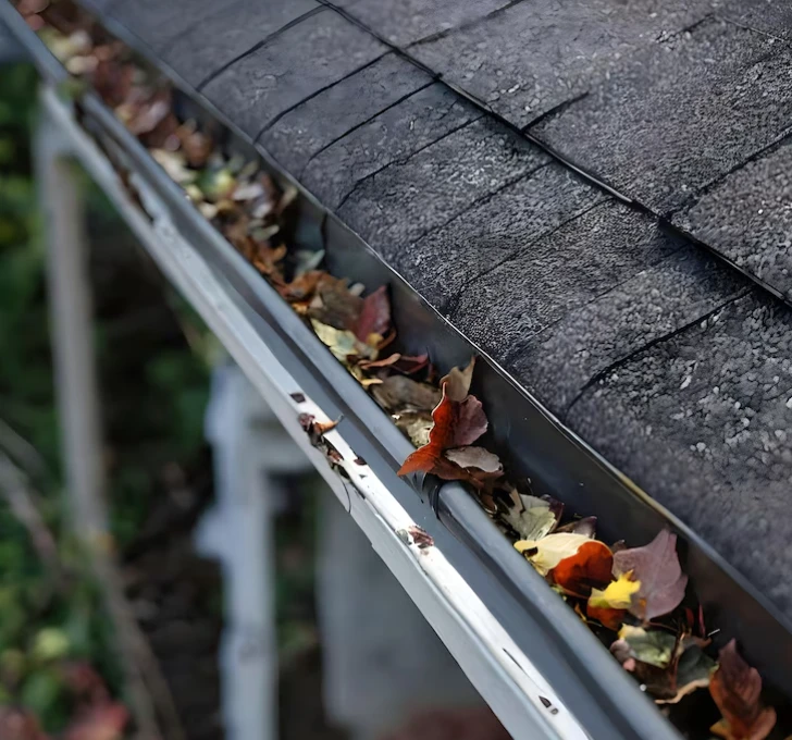 Signs Your Geelong Roof Gutters Need Immediate Cleaning