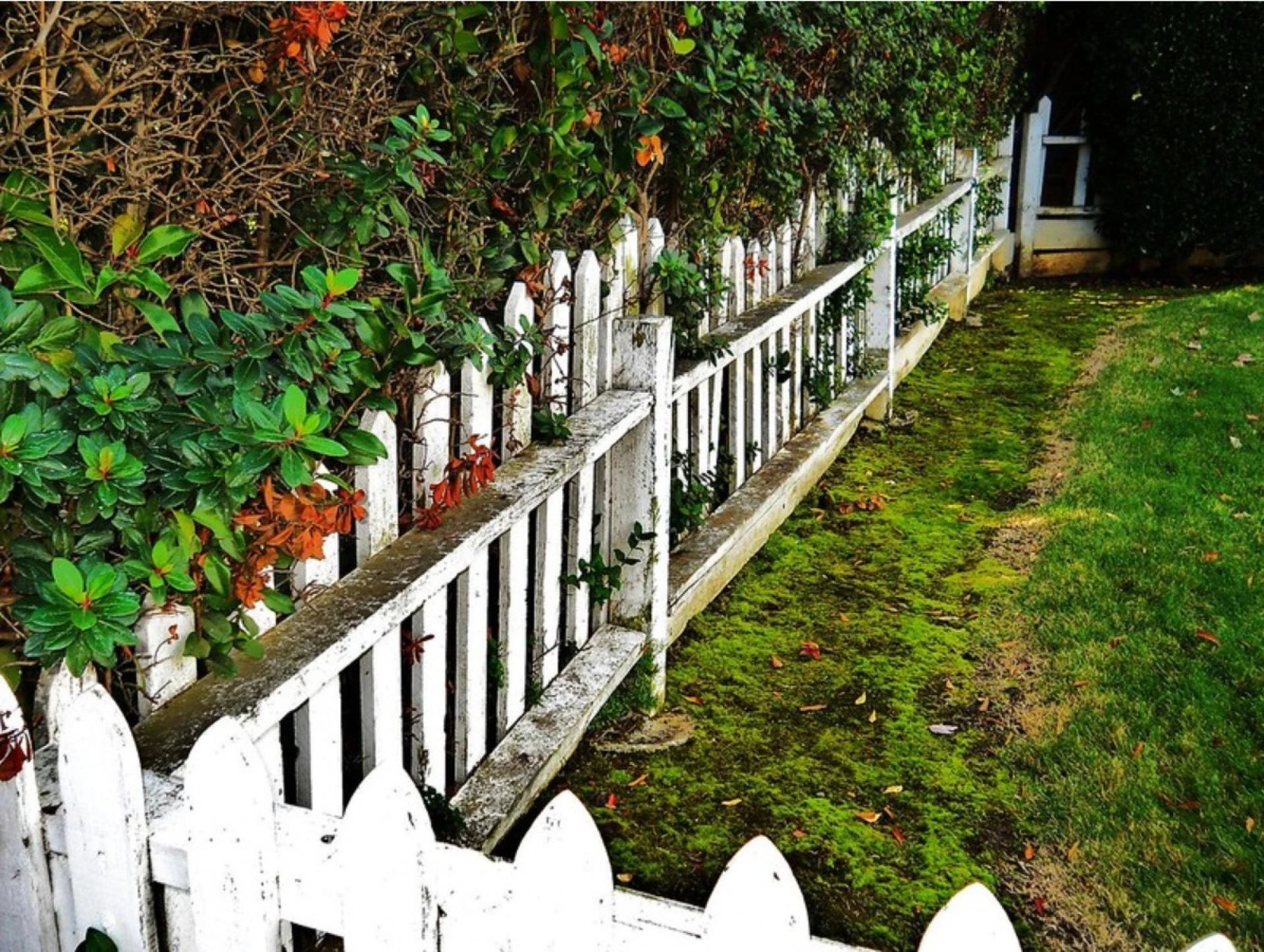 Why Hiring Professional Wood Fence Installers Is a Smart Investment for Your Home