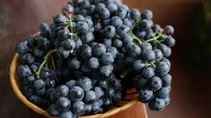 Black Grapes: The Juicy Antioxidant Powerhouse You’ll Love | Fresh Buyzar