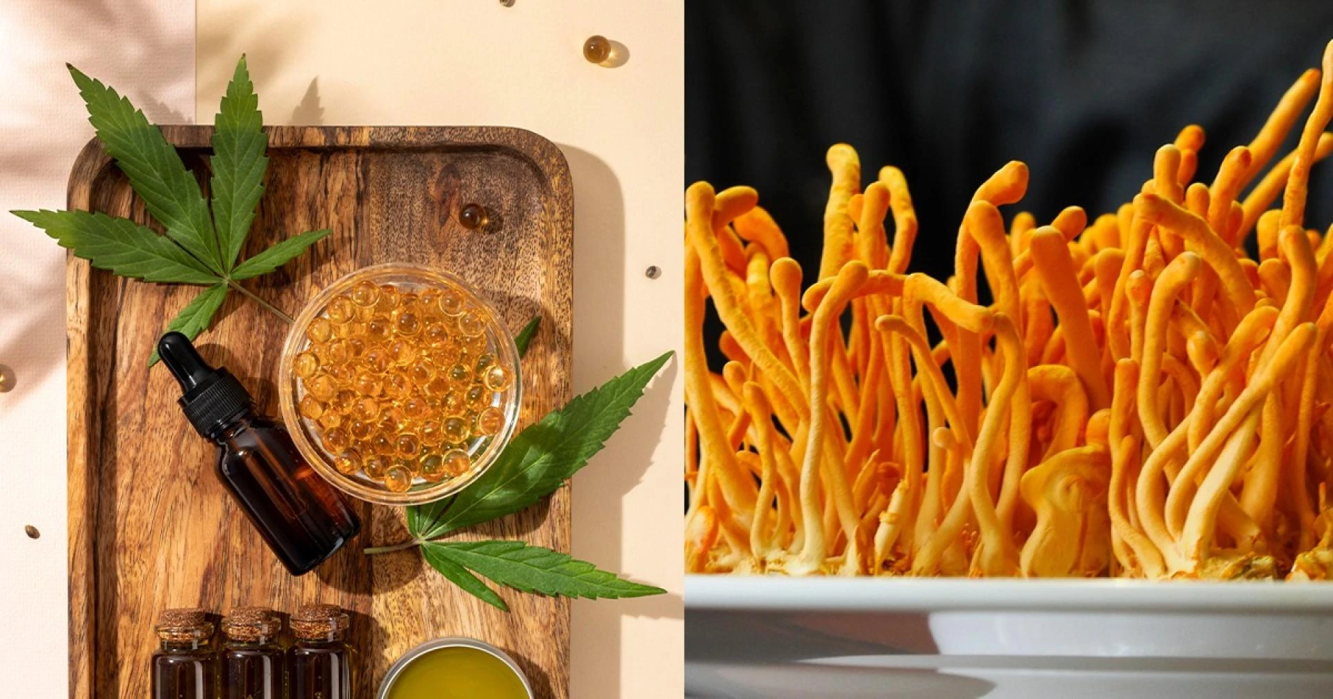 Unleashing Nature’s Power: How Cordyceps Fuel is Revolutionizing Health with Cordyceps Mushroom