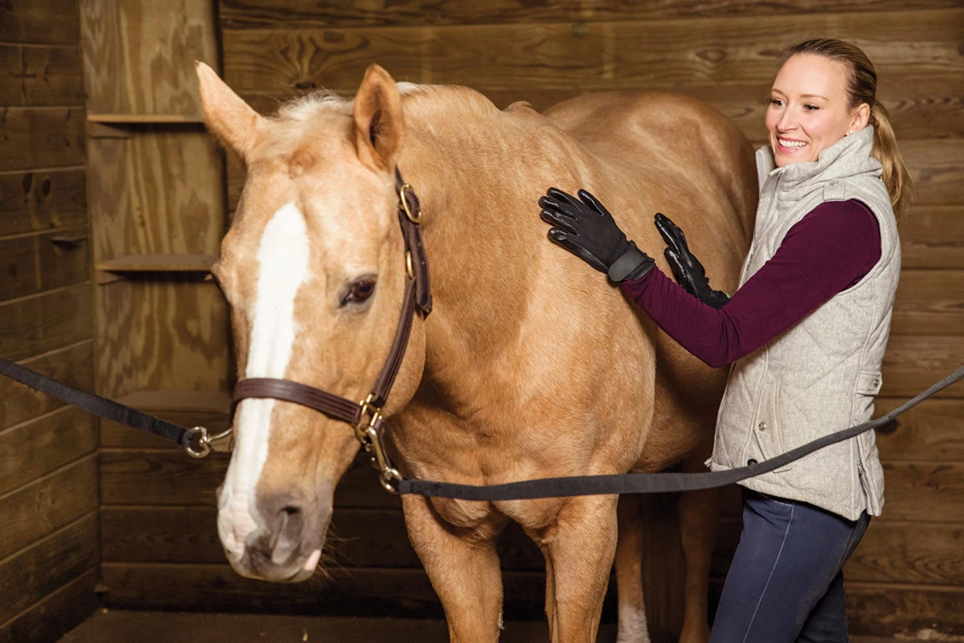 The Complete Guide to Horse Height