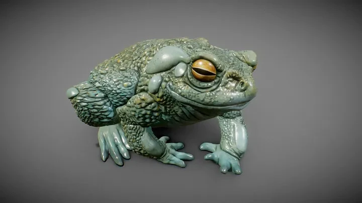 How Does 5-MeO-DMT Transform the Soul? Stories from Bufo Ceremonies at 963 Tribe Church
