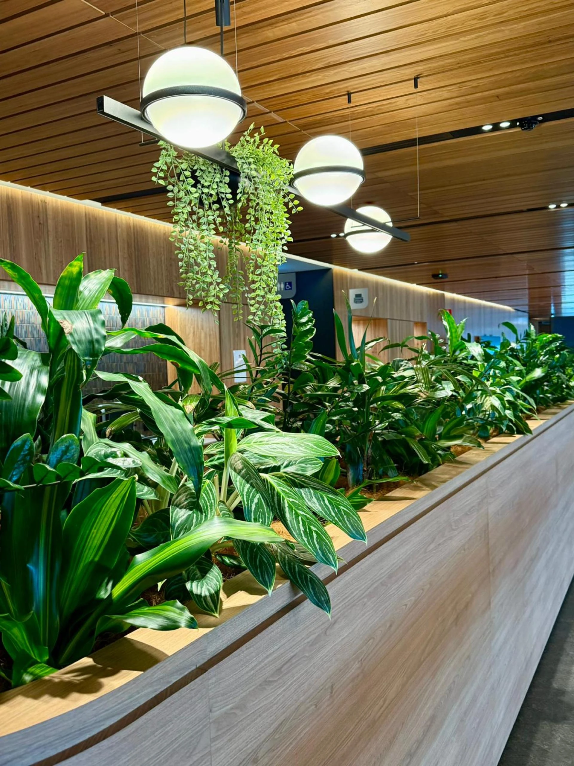 Transform Your Space with Tropical Plant Rentals: A Natural Touch of Elegance