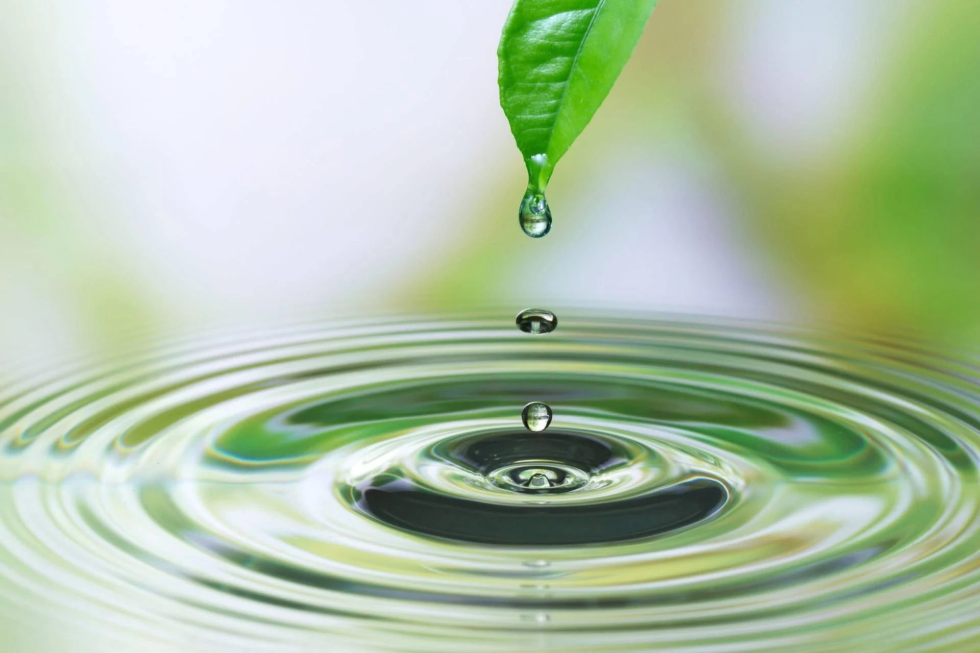 Unlocking Natural Wellness: A Deep Dive into Oxygen Vitality’s Holistic Healing Solutions
