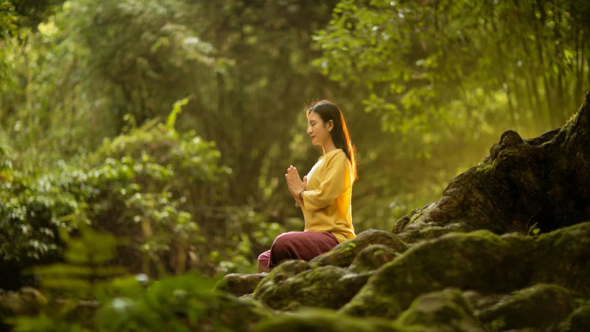 Psychedelic Retreat Review: What I Loved, What Surprised Me, and What You Should Know