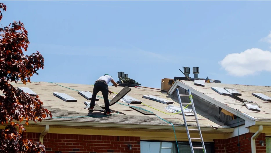 Unveil Your Roof’s True Beauty: Effective Moss Removal Techniques
