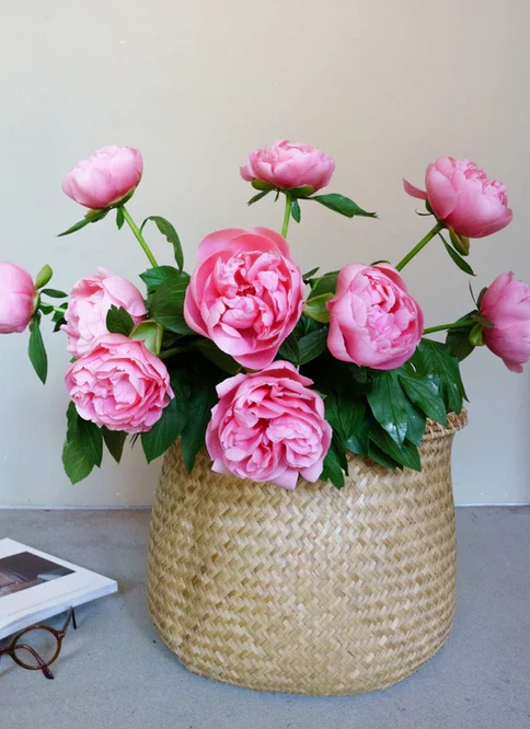Waarom bloemen bezorgen steeds populairder wordt in Nederland