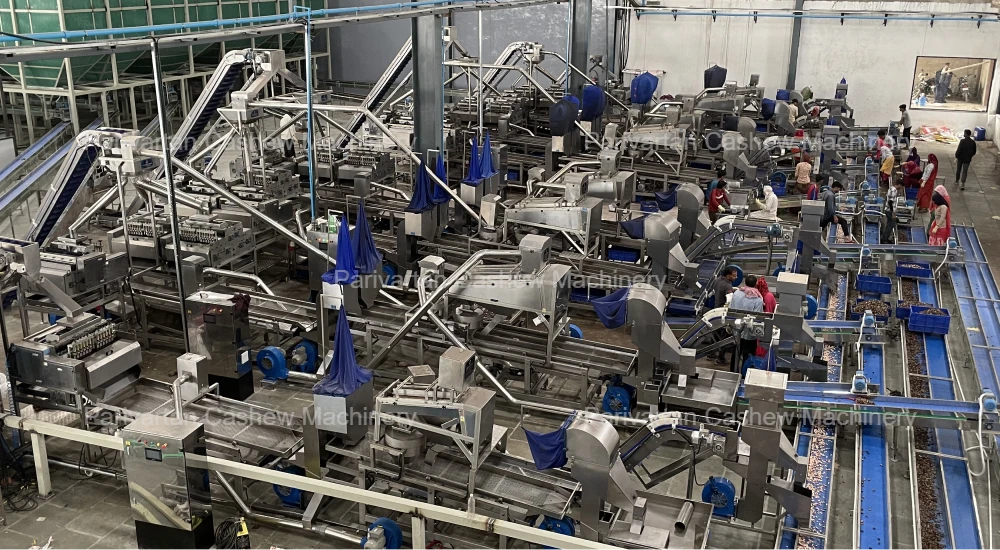 Why a Scooping Machine Is Essential in Modern Cashew Processing