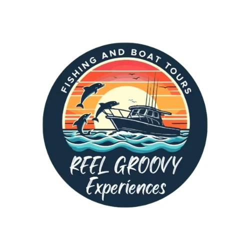 Navigating the Wonders of Panama City Beach with Dolphin Tours