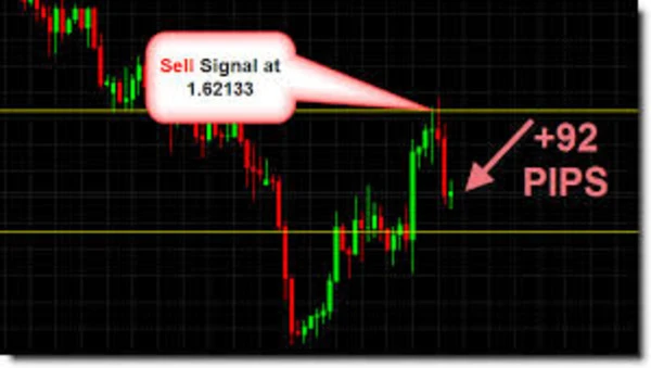 Dux Forex Signals VIP Review: A Real Trader’s Take on Accuracy & Profit Potential