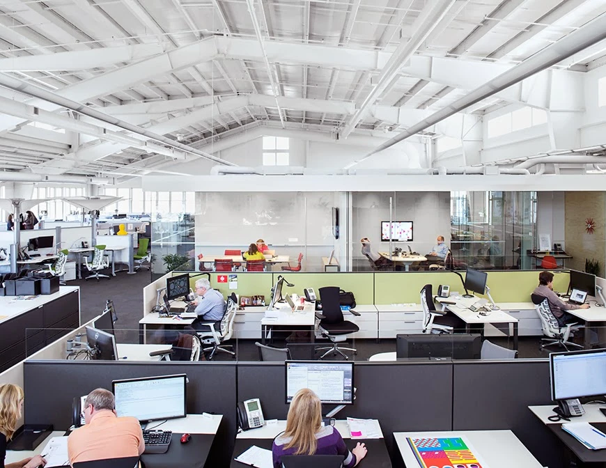 What Makes ERGOBACK the Right Choice for Your Office Comfort?