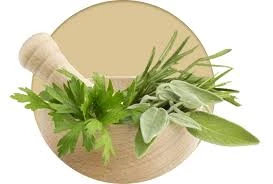 5 Reasons to Visit an Ayurvedic Treatment Centre for Stress and Anxiety Relief