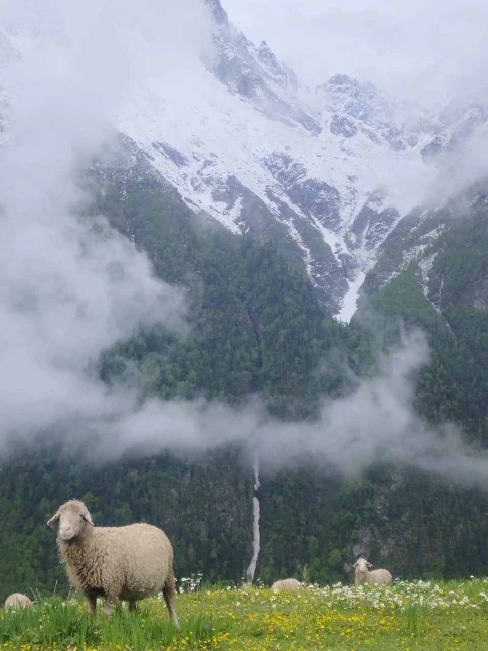 Buran Ghati Trek: A Thrilling Himalayan Crossover from Janglik to Barua