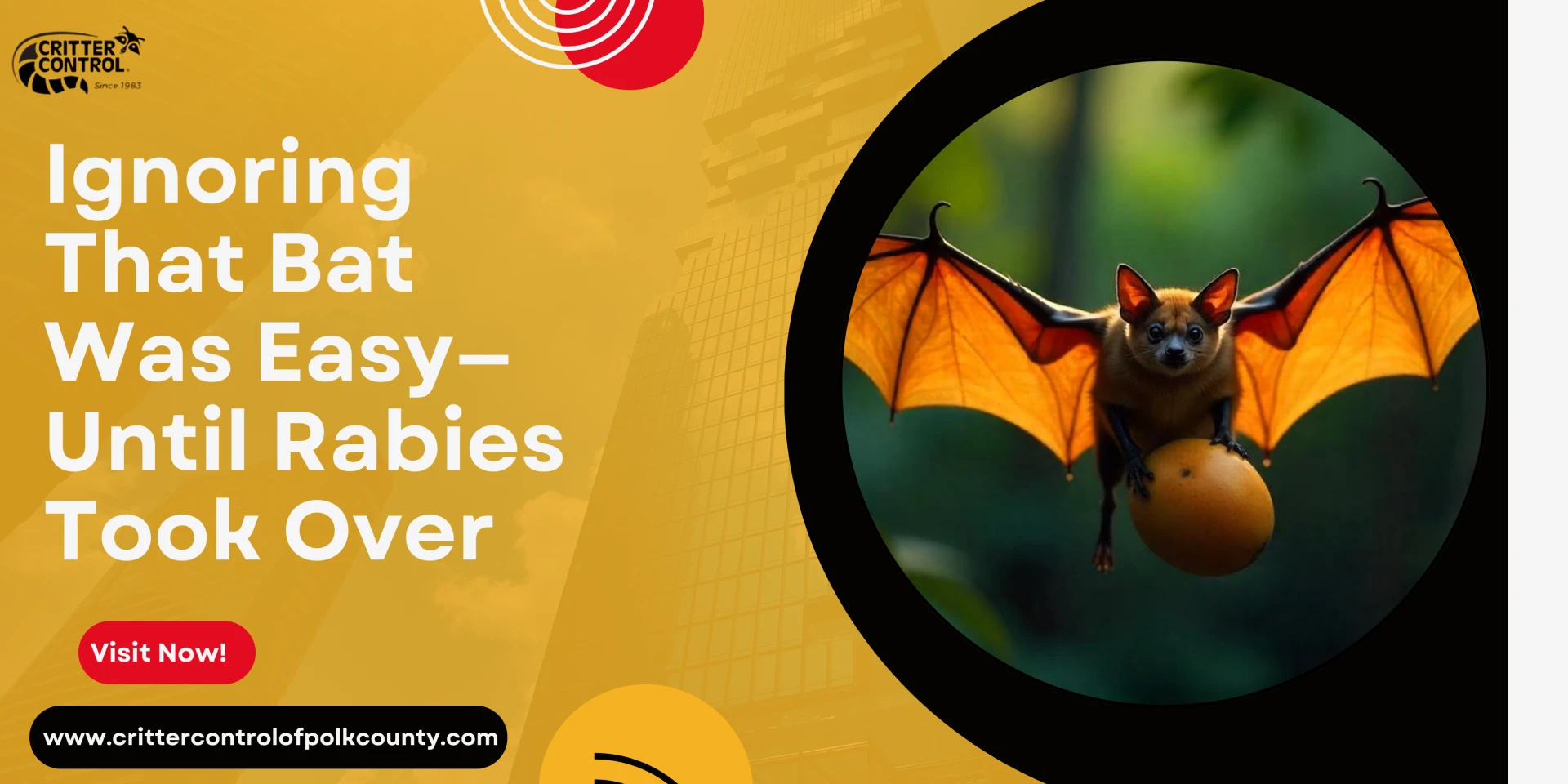 Ignoring That Bat Was Easy—Until Rabies Took Over