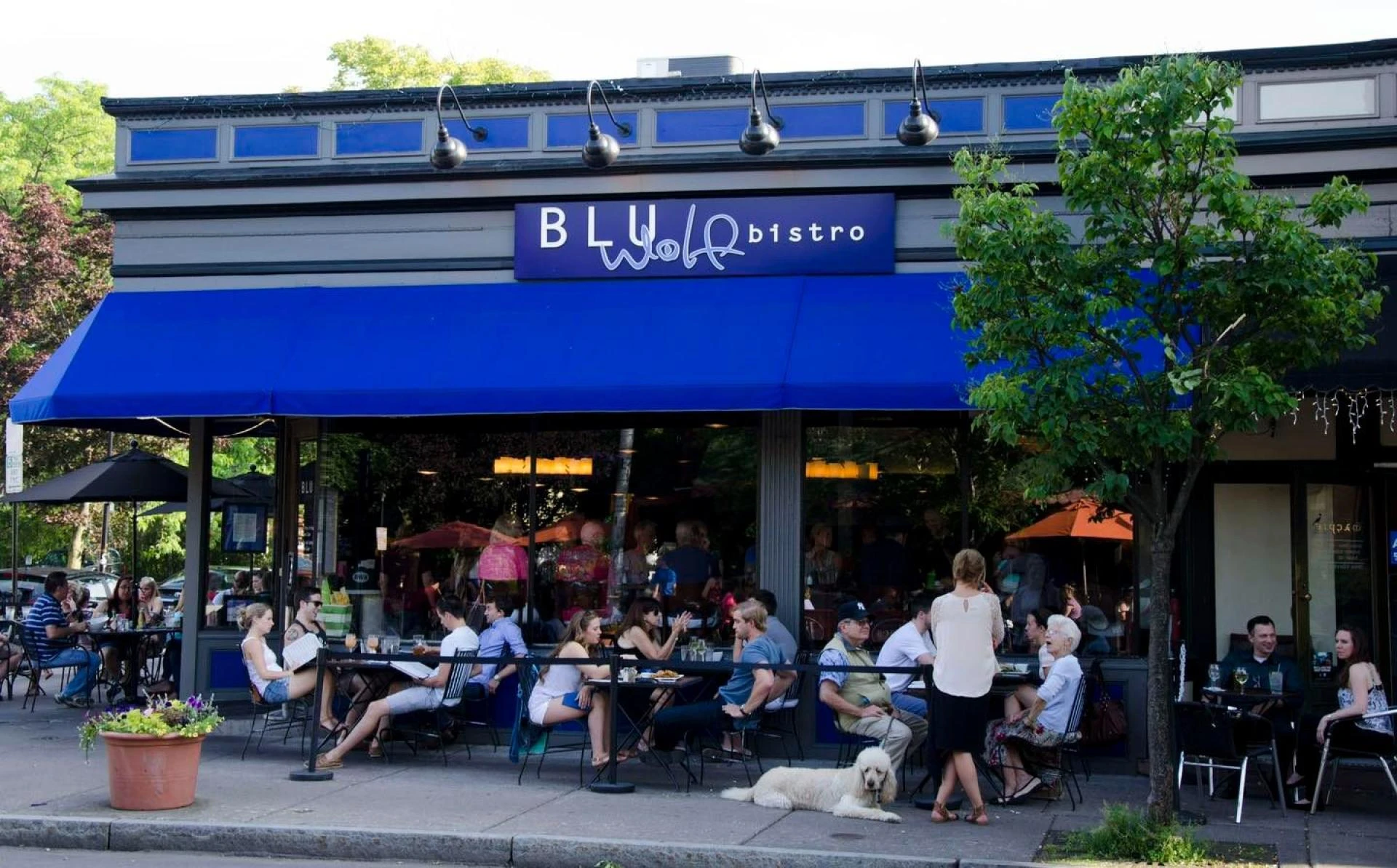 Cocktail Bars Near Rochester Serving Vibes, Stories, and Perfect Sips
