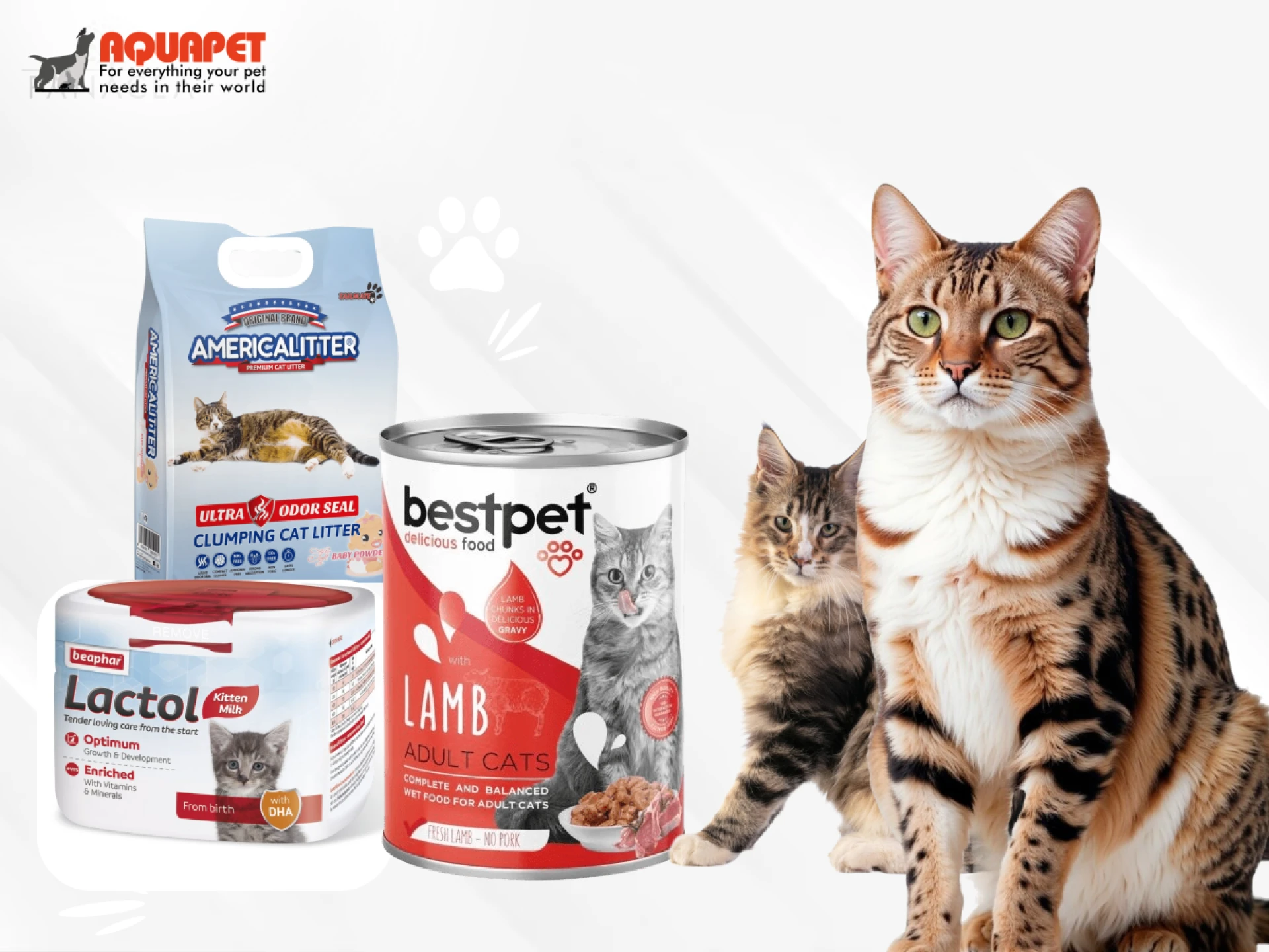  Why Aquapet is Your Trusted Destination for Cat Supplies Online in Kenya 🐾
