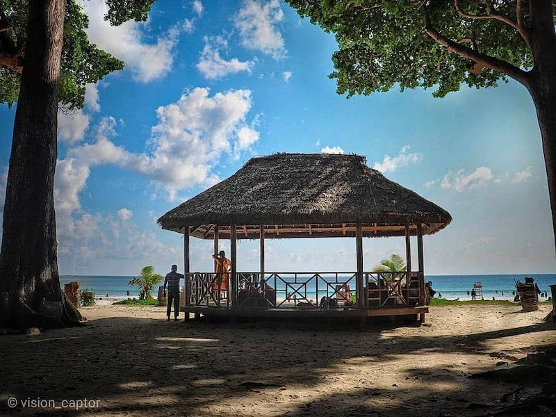 Andaman Unbound: Scuba Diving Through Liquid Sapphire and Colonial Ghosts