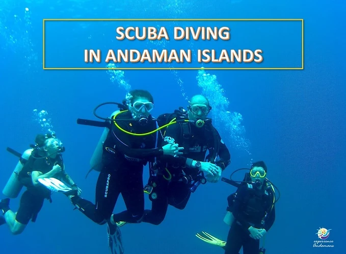 Scuba Diving in Havelock: Where the Ocean Whispers Secrets of the Deep