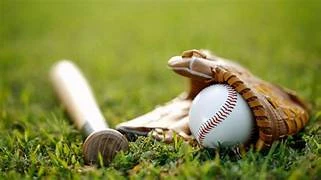 Baseball Equipment Market Expansion Through Rural Training Hubs 2025–2035