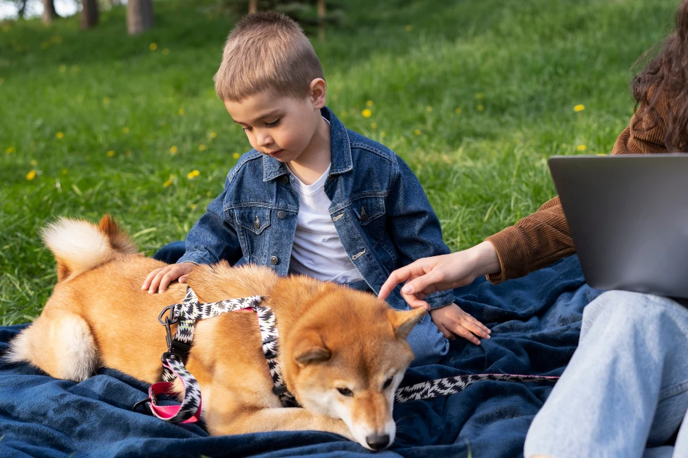 Dog Therapy Benefits: How Pups Help Heal and Comfort