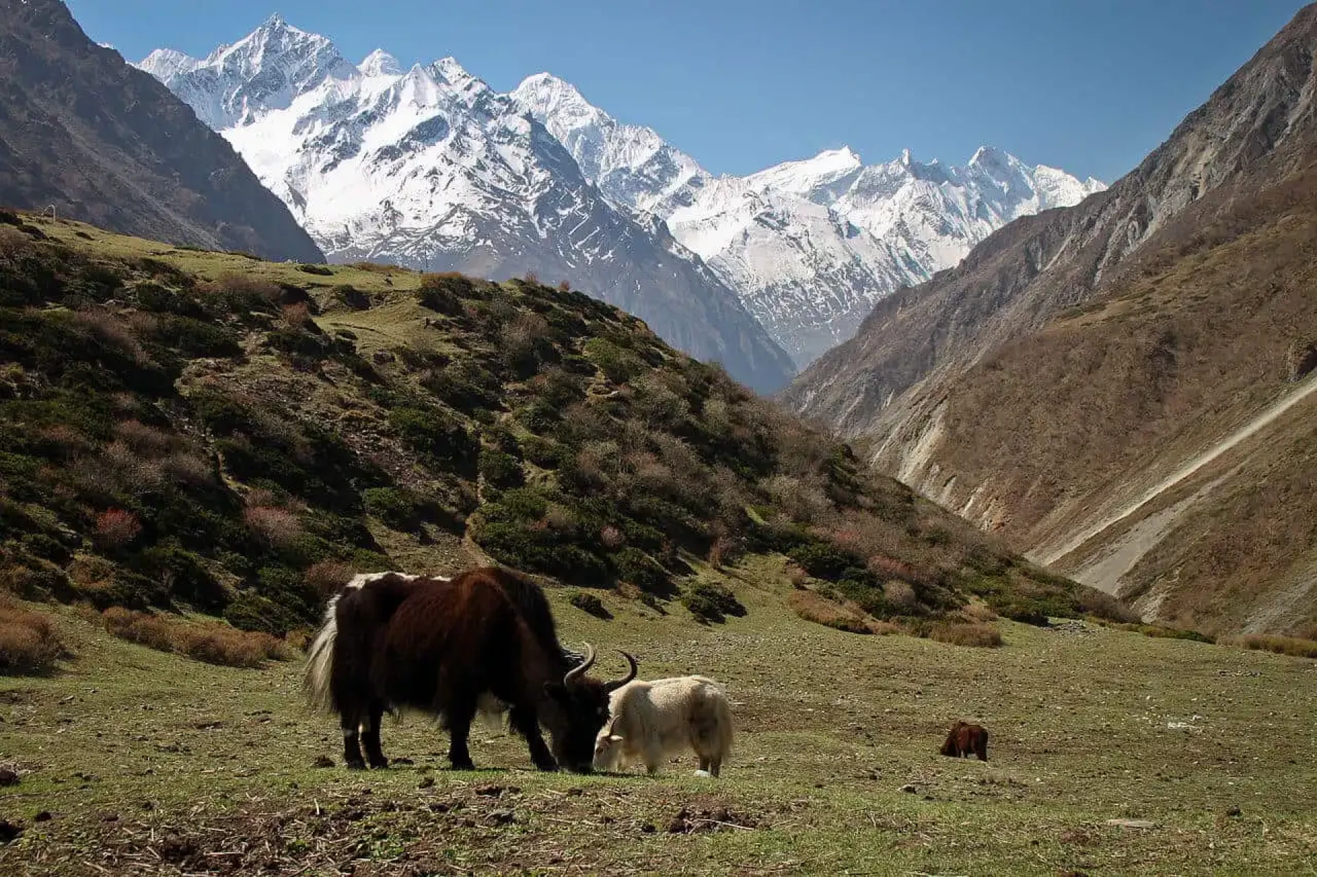 A Journey into the Hidden Tsum Valley