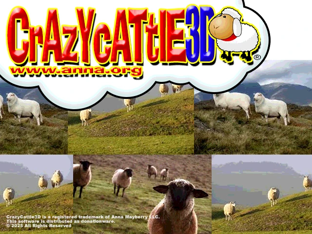 How to Play and Experience Crazy Cattle 3D