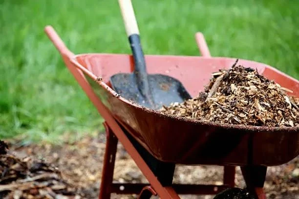 Transform Your Garden with the Beauty of Hardscaping