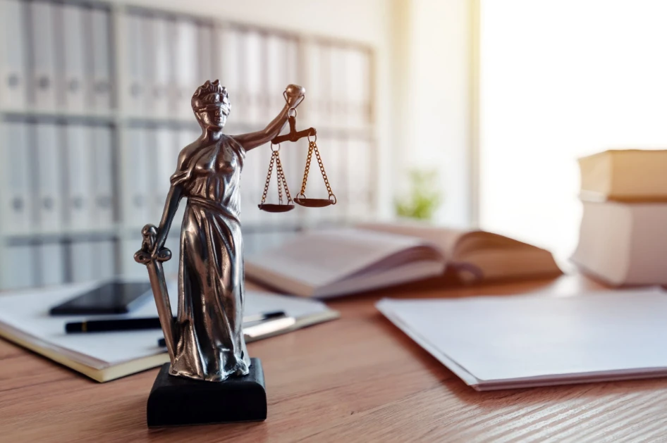 What Sets a Professional Adoption Law Group Apart in Family Law?