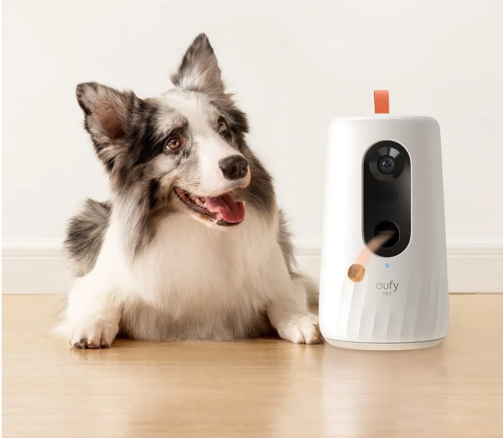Eufy Pet Dog Camera 360° Pan: A Smart Way to Watch Your Dog