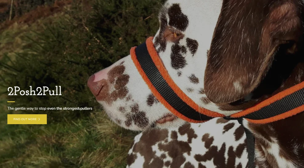 How to Use the R277 Dog Whistle Without Stressing Your Dog’s Neck