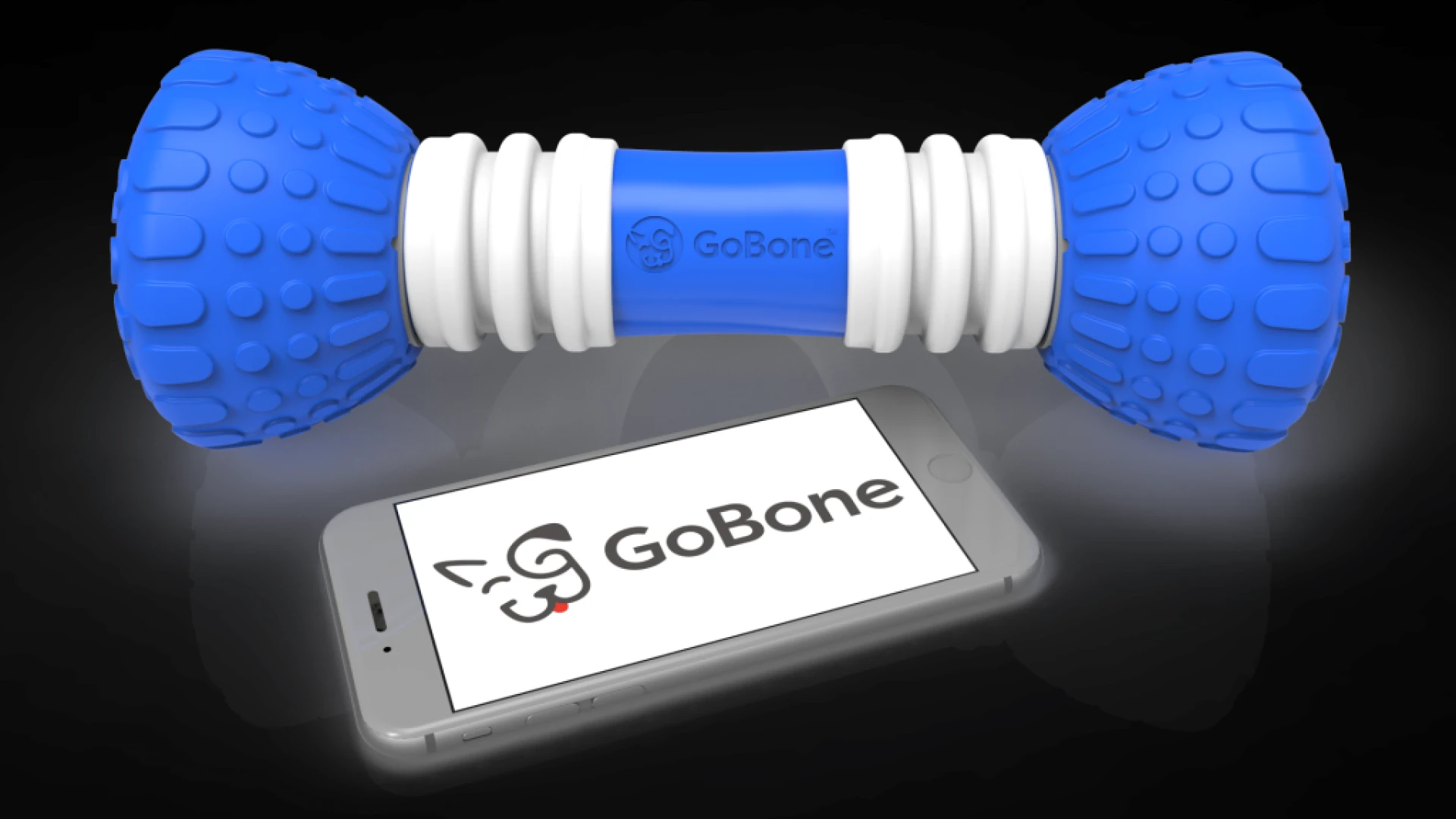 GoBone: The Smart Toy for Dogs